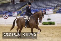 25R1516_00882 thumbnail