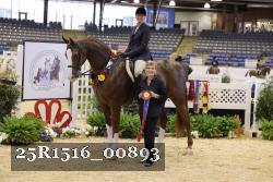 25R1516_00893 thumbnail