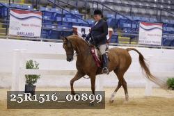 25R1516_00899 thumbnail