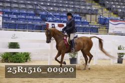 25R1516_00900 thumbnail