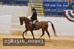25R1516_00903 thumbnail