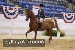 25R1516_00906 thumbnail