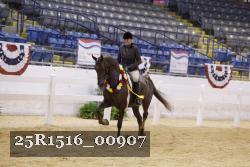 25R1516_00907 thumbnail