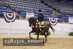 25R1516_00908 thumbnail