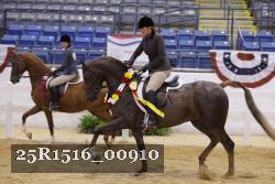 25R1516_00910 thumbnail