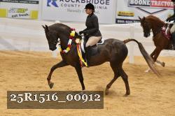 25R1516_00912 thumbnail