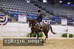 25R1516_00917 thumbnail