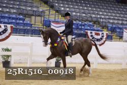 25R1516_00918 thumbnail