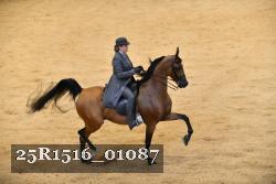 25R1516_01087 thumbnail