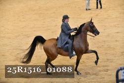 25R1516_01088 thumbnail