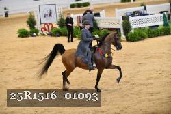 25R1516_01093 thumbnail