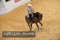 25R1516_01100 thumbnail