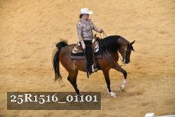 25R1516_01101 thumbnail