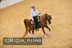 25R1516_01109 thumbnail