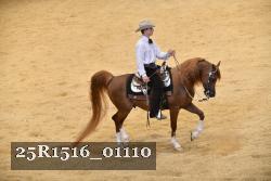 25R1516_01110 thumbnail