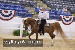 25R1516_01112 thumbnail