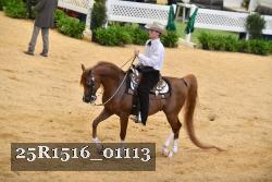 25R1516_01113 thumbnail