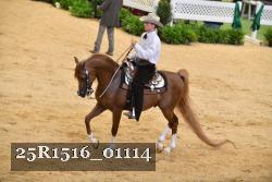 25R1516_01114 thumbnail