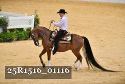 25R1516_01116 thumbnail