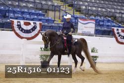 25R1516_01123 thumbnail