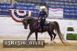 25R1516_01124 thumbnail