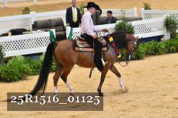 25R1516_01125 thumbnail