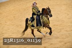 25R1516_01139 thumbnail