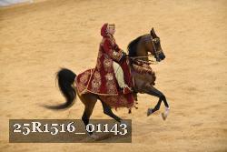 25R1516_01143 thumbnail