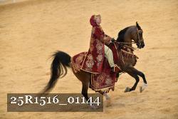 25R1516_01144 thumbnail