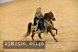 25R1516_01146 thumbnail