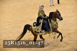 25R1516_01147 thumbnail