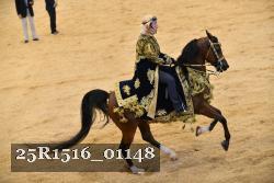 25R1516_01148 thumbnail