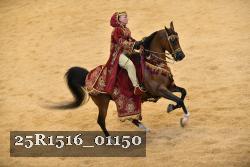 25R1516_01150 thumbnail