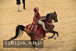 25R1516_01151 thumbnail