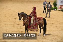 25R1516_01152 thumbnail