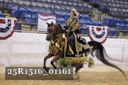 25R1516_01161 thumbnail