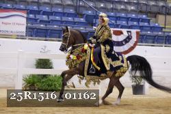 25R1516_01162 thumbnail
