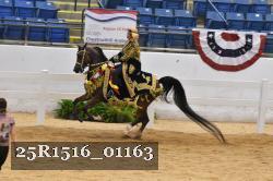25R1516_01163 thumbnail