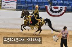 25R1516_01164 thumbnail
