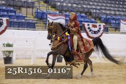 25R1516_01167 thumbnail