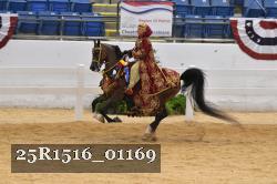 25R1516_01169 thumbnail