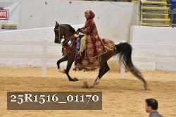 25R1516_01170 thumbnail