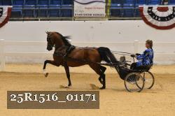 25R1516_01171 thumbnail