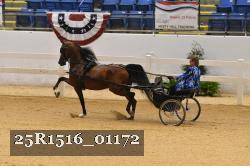25R1516_01172 thumbnail