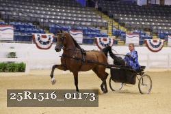 25R1516_01173 thumbnail