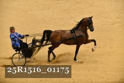 25R1516_01175 thumbnail