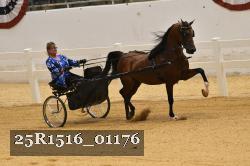 25R1516_01176 thumbnail