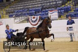 25R1516_01177 thumbnail