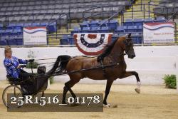 25R1516_01178 thumbnail