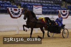 25R1516_01180 thumbnail